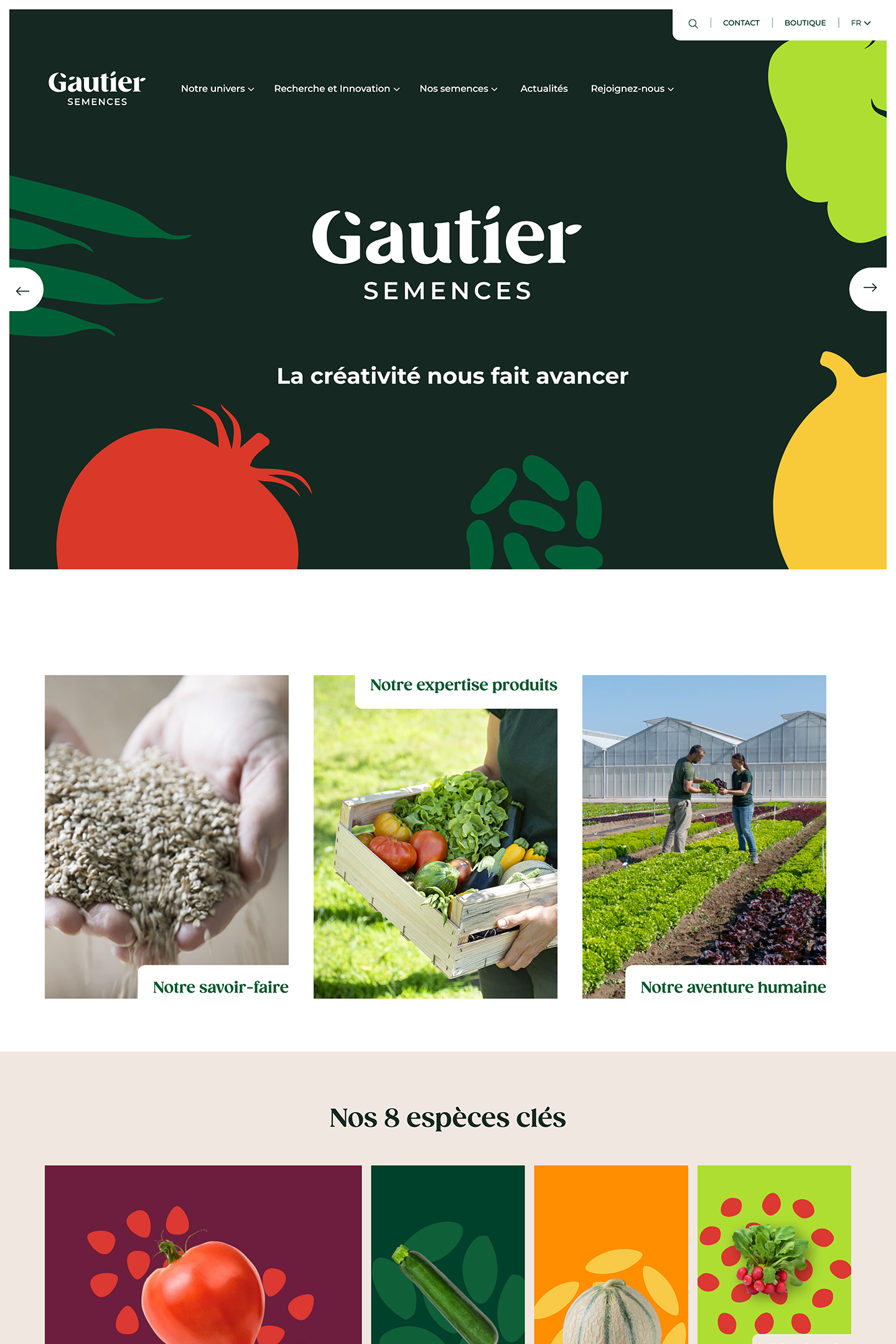 Capture du site Gautier Semences réalisé par l'Agence KN